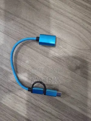 2 in 1 Otg to Type C and Micro Usb Otg Adapter