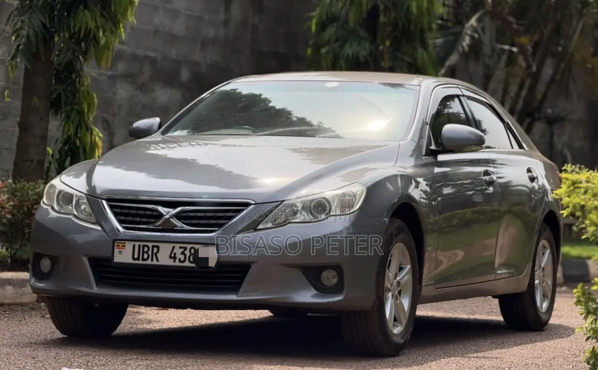 Toyota Mark X 2.5 AWD 2009 Gray