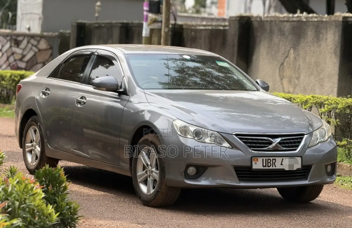 Toyota Mark X 2.5 AWD 2009 Gray