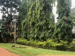 Furnished 6bdrm Townhouse/Terrace in Ntebe Town, Central Division