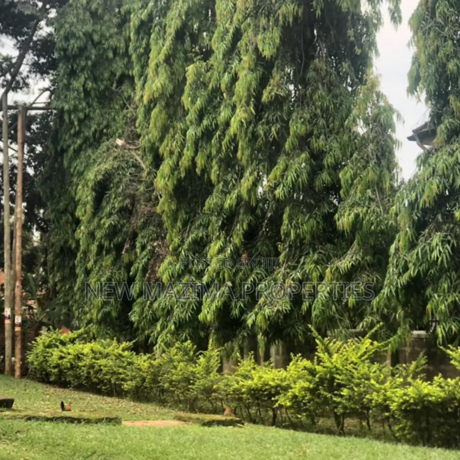 Furnished 6bdrm Townhouse/Terrace in Ntebe Town, Central Division