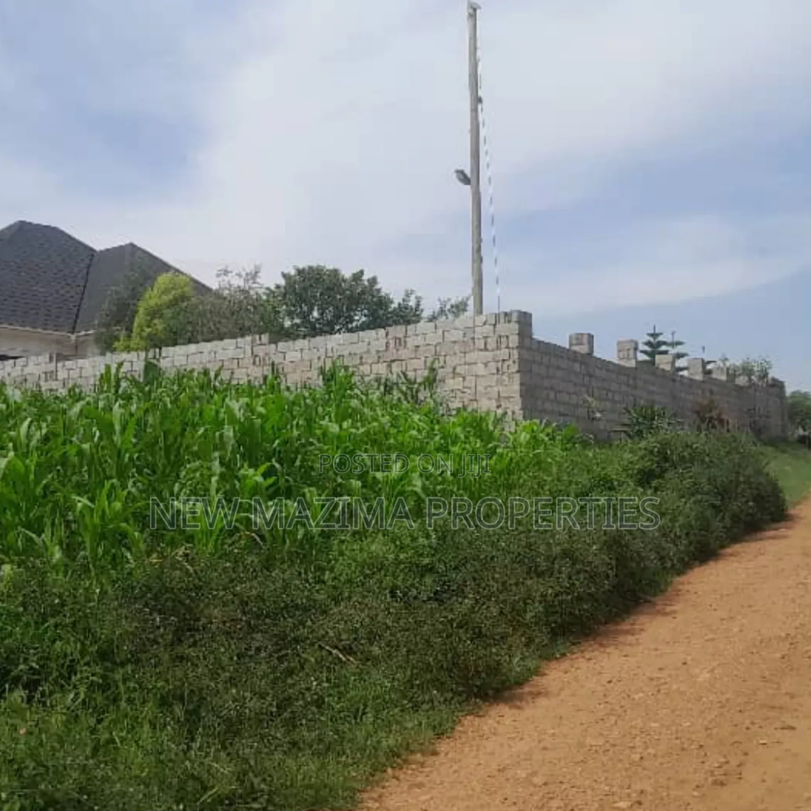 Two Plots Each Equivalent to 100 Ft X 100 Ft Onsale Mukono Mpoma