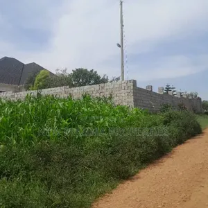 Two Plots Each Equivalent to 100 Ft X 100 Ft Onsale Mukono Mpoma