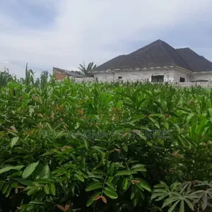 Two Plots Each Equivalent to 100 Ft X 100 Ft Onsale Mukono Mpoma
