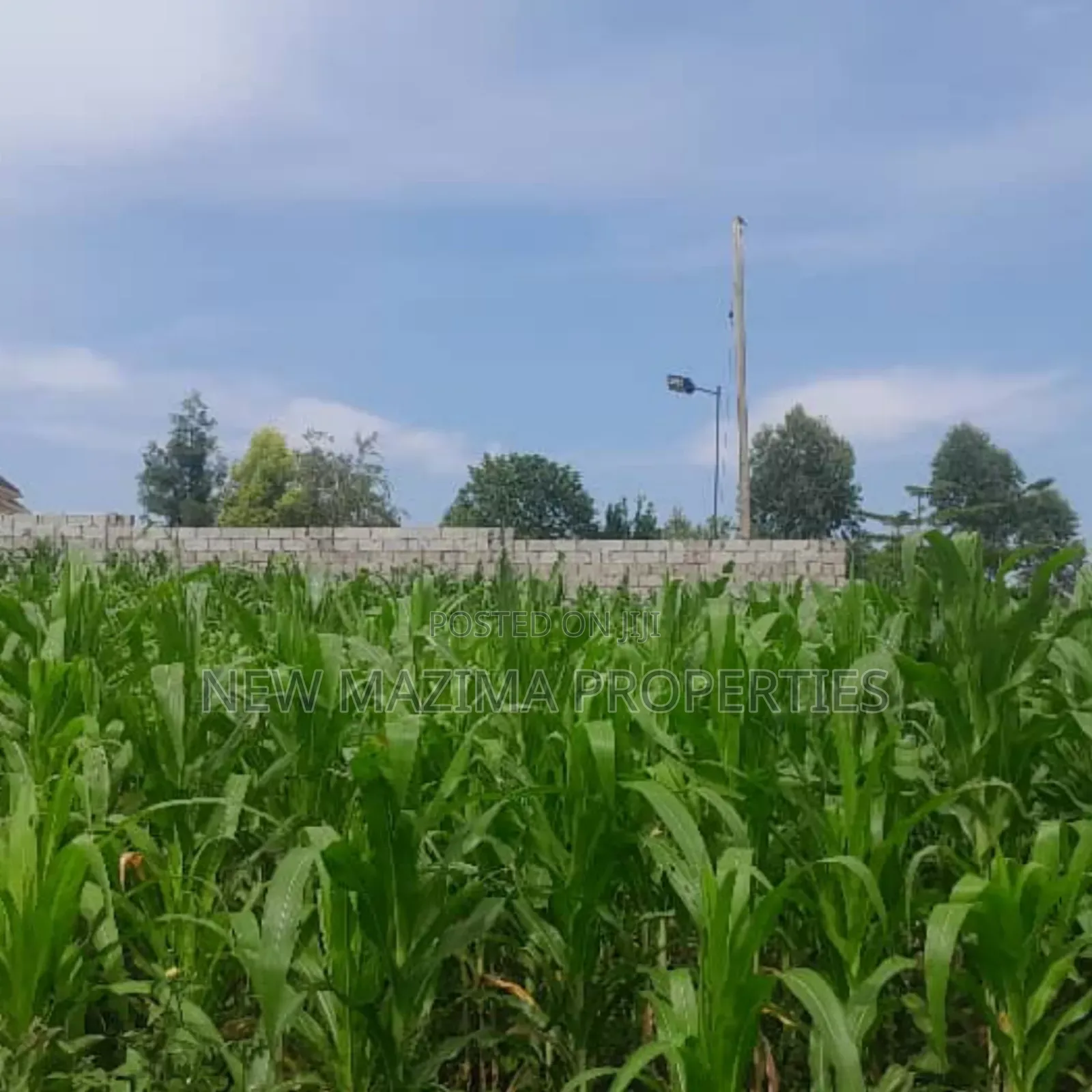 Two Plots Each Equivalent to 100 Ft X 100 Ft Onsale Mukono Mpoma