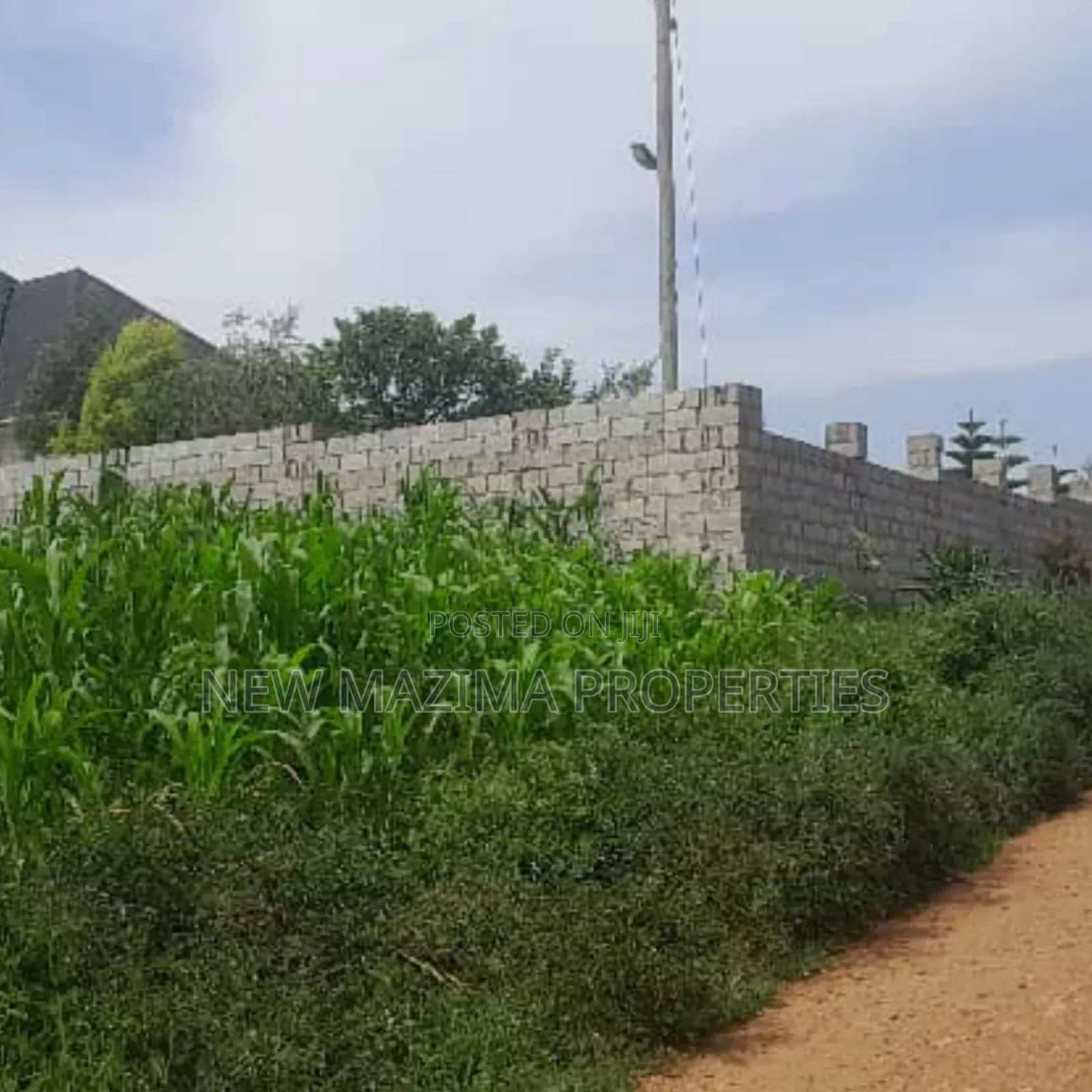 Two Plots Each Equivalent to 100 Ft X 100 Ft Onsale Mukono Mpoma