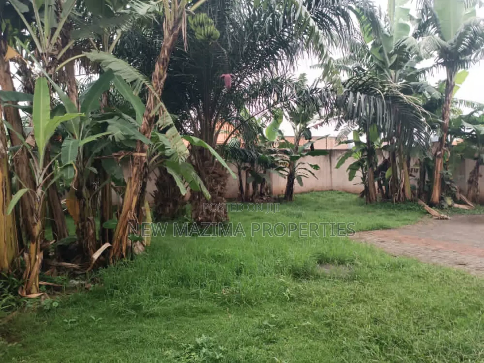 Very Hot Deal of 50 Decimals on Forced Sale Heart of Seguku Lake View