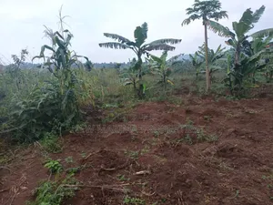 Very Hot Plots With Ready Private Title on Table on Quicksale Mpigi