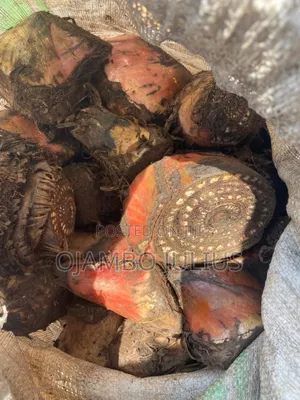 Gonja ( Plantain)