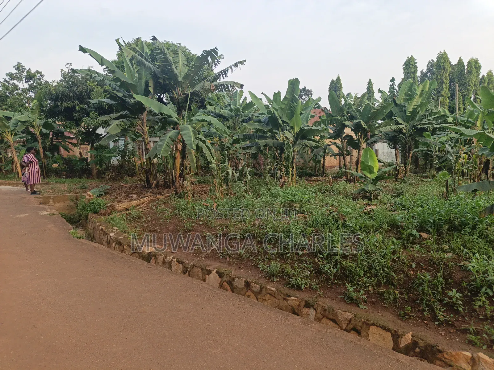50decimal Plot of Land on Sale in Kisaasi