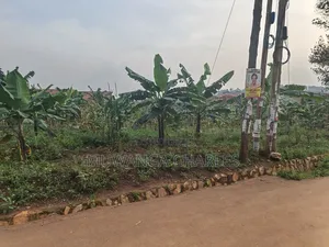 50decimal Plot of Land on Sale in Kisaasi