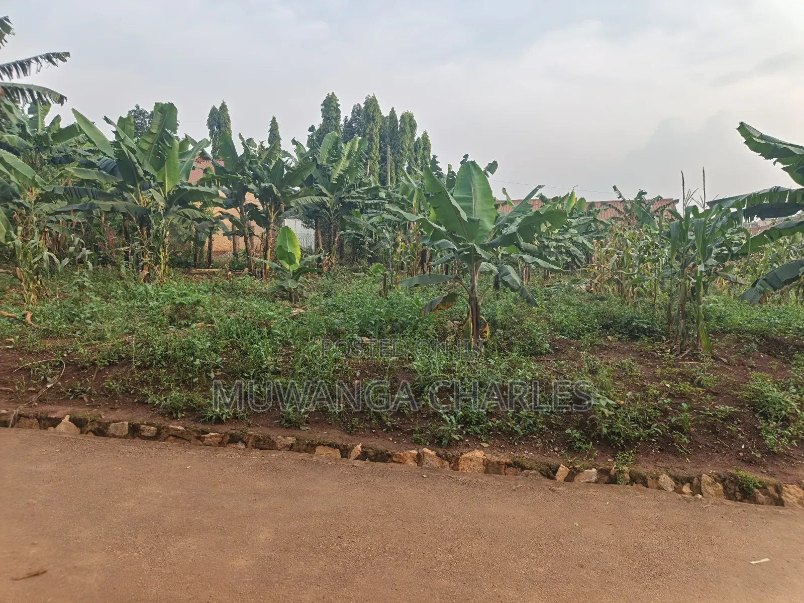 50decimal Plot of Land on Sale in Kisaasi