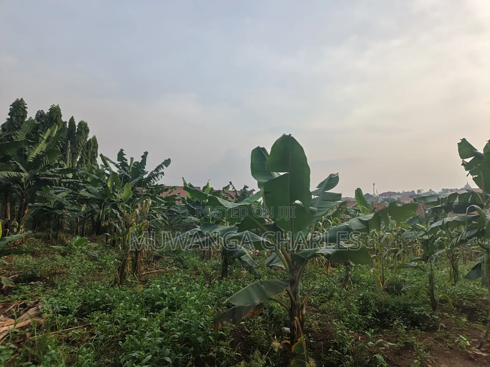 50decimal Plot of Land on Sale in Kisaasi