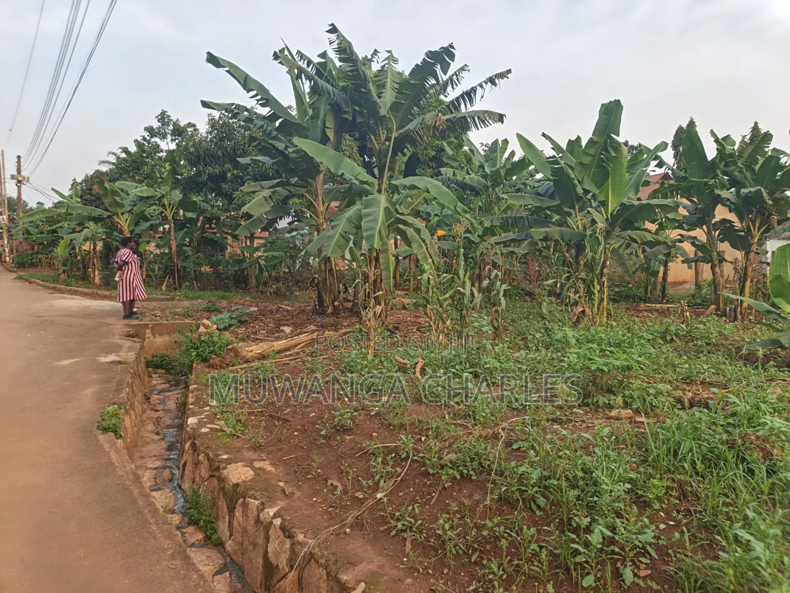 50decimal Plot of Land on Sale in Kisaasi
