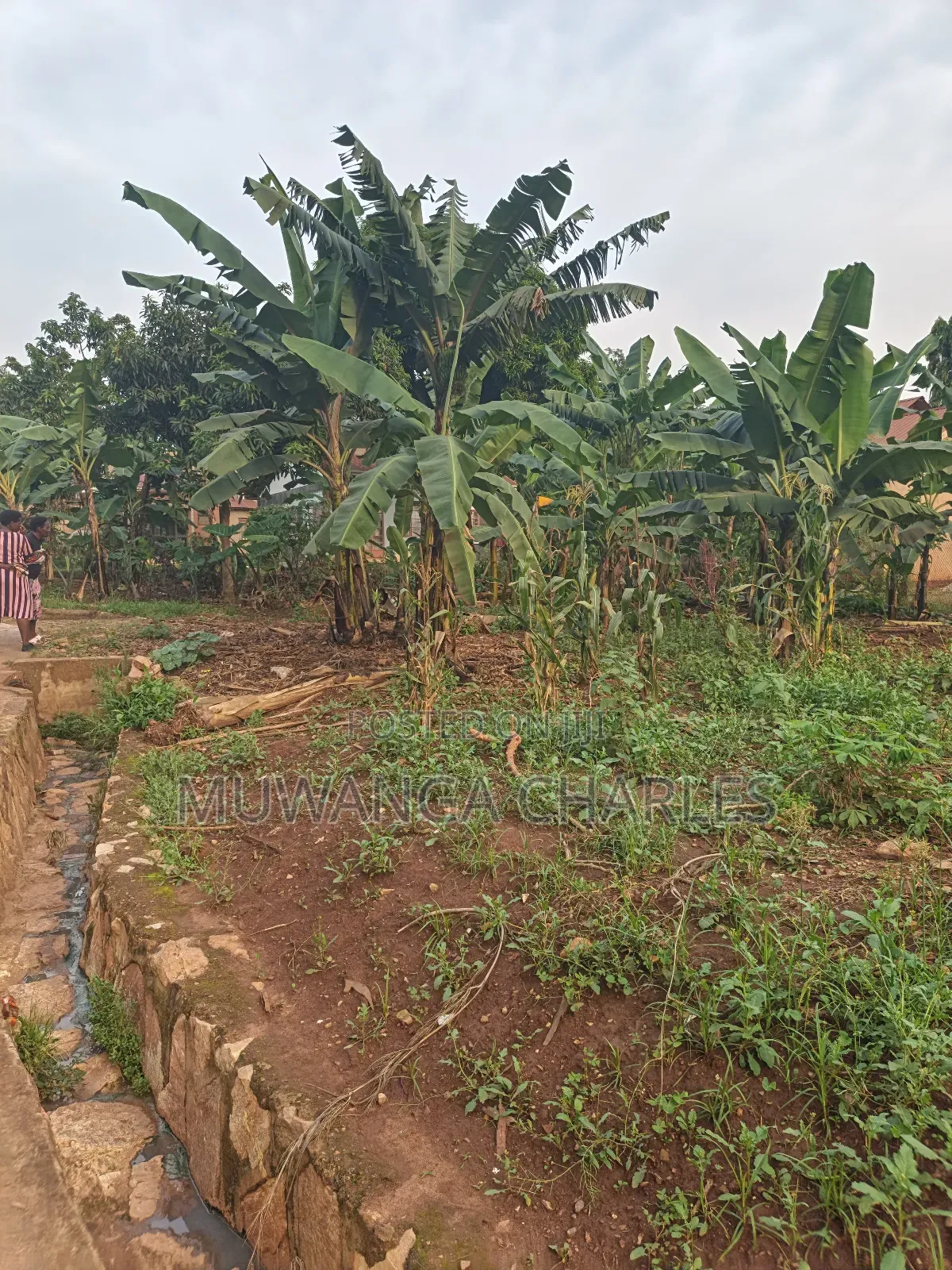 50decimal Plot of Land on Sale in Kisaasi