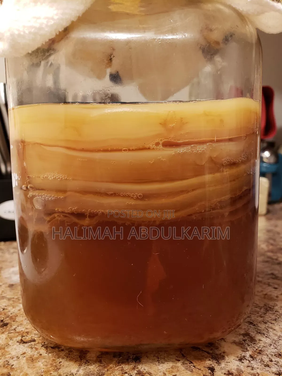 Halal Kitiko or Kituzi(Scoby or Kombucha )