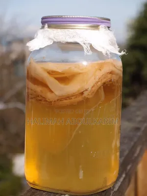 Halal Kitiko or Kituzi(Scoby or Kombucha )