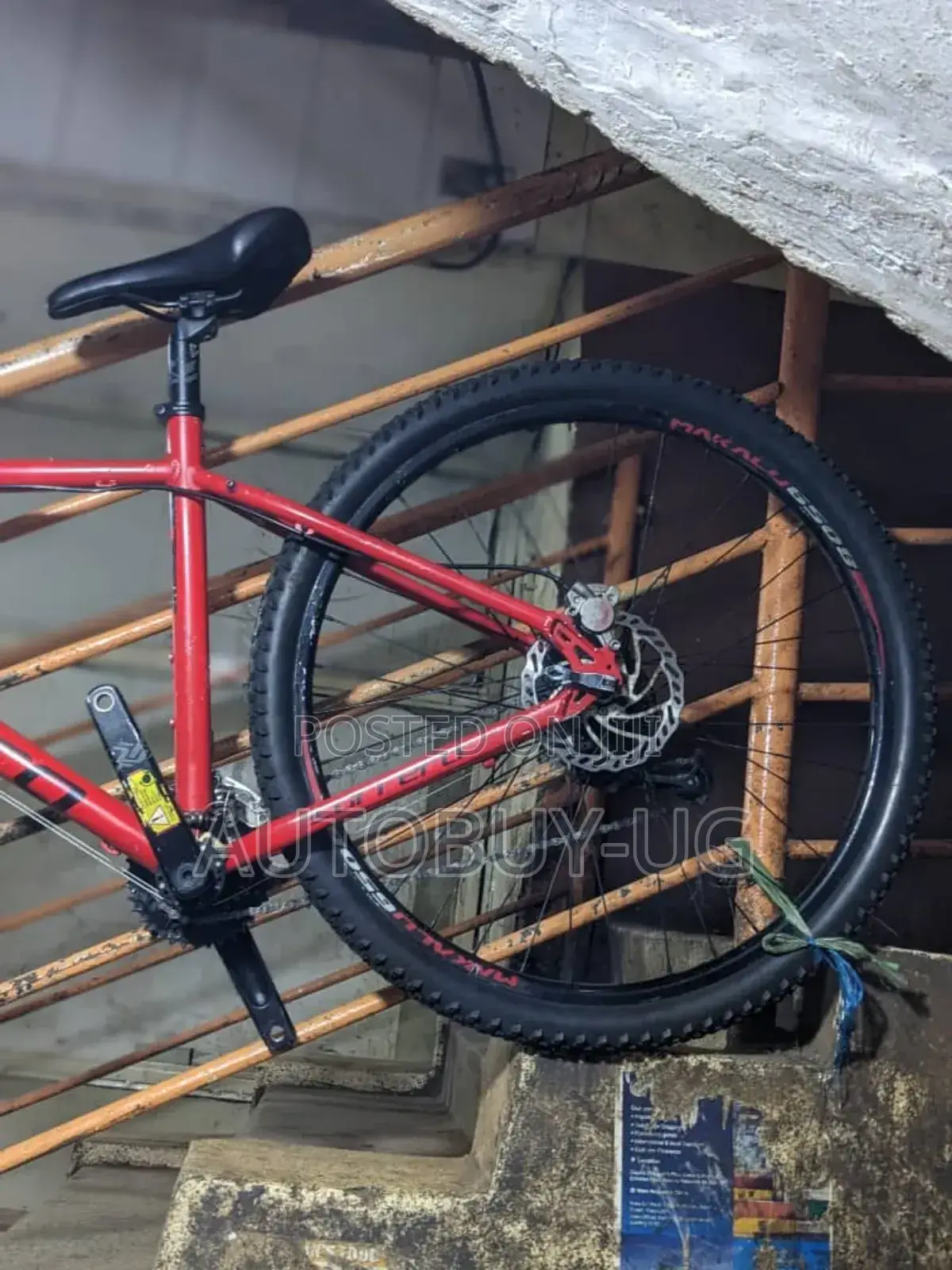 Mountain Bike