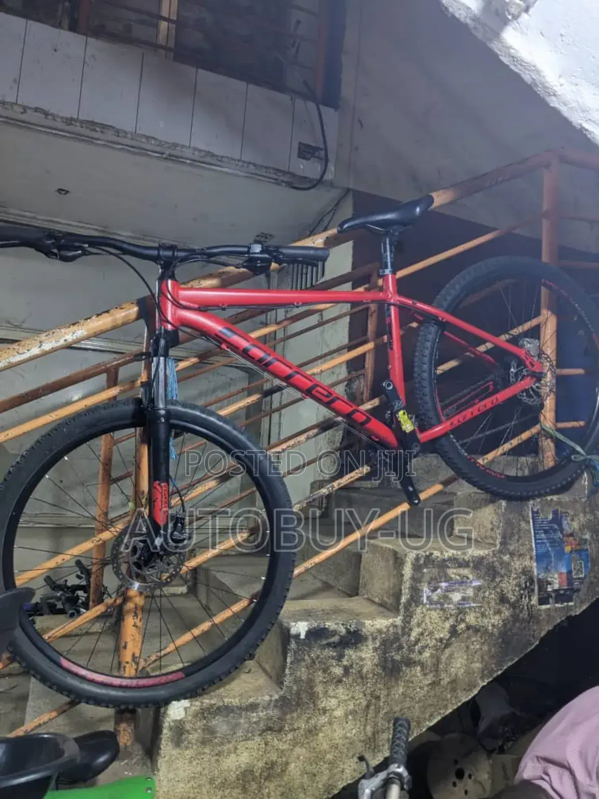 Mountain Bike