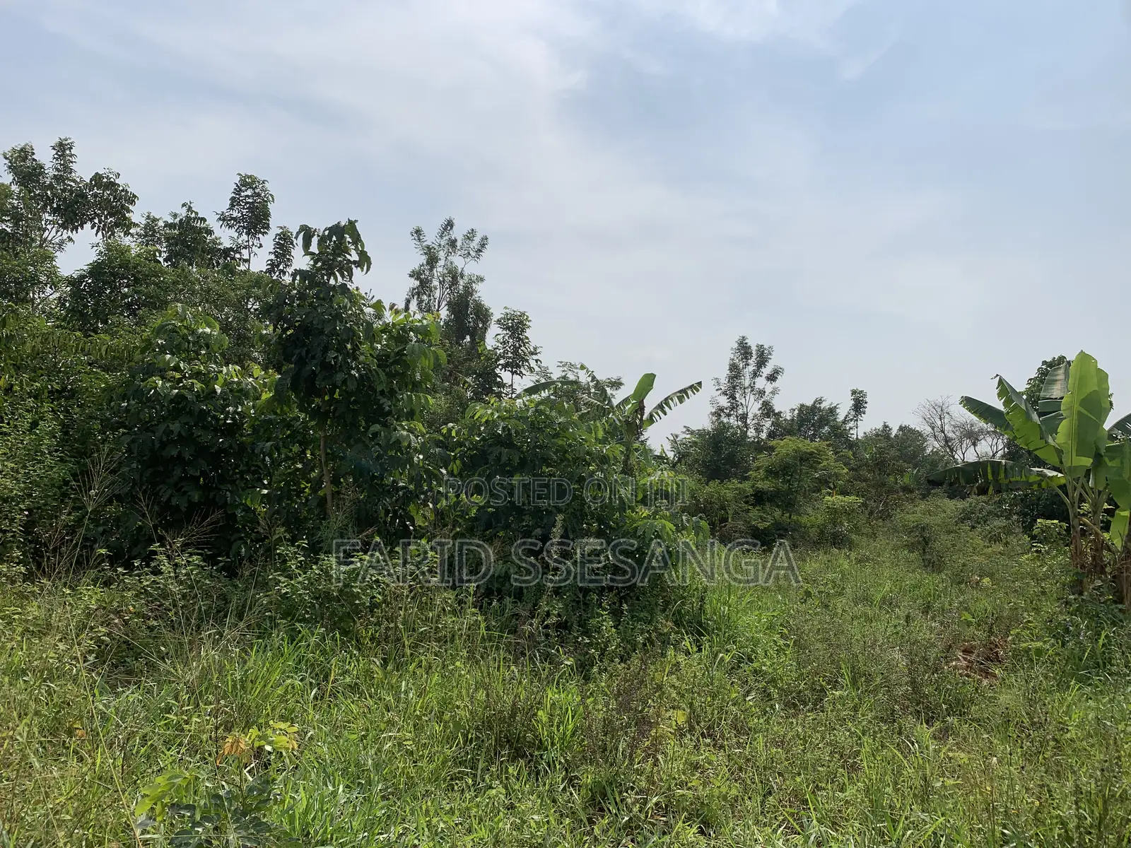 Land for Sale