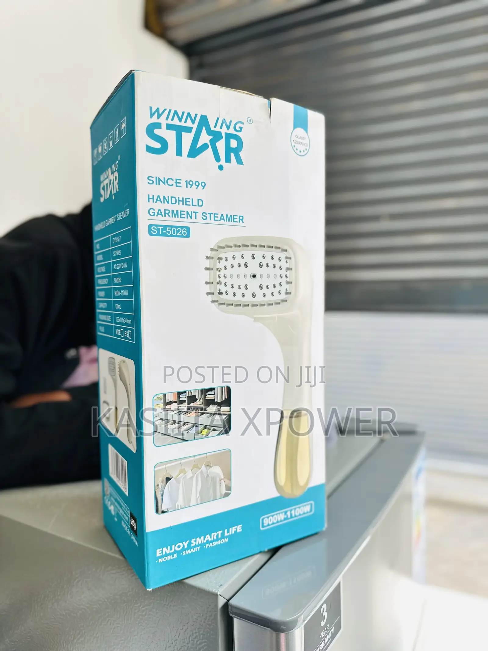 Handheld Garmet Steamer