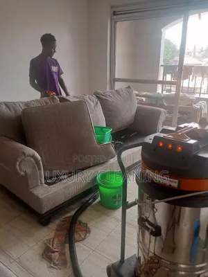 Deluxe Couches Cleaning Cushions