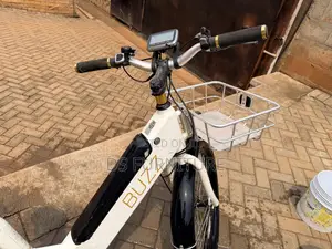 Electric Bicycle