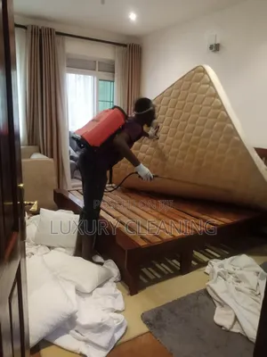 Bed Bags and Cockroaches Fumigation
