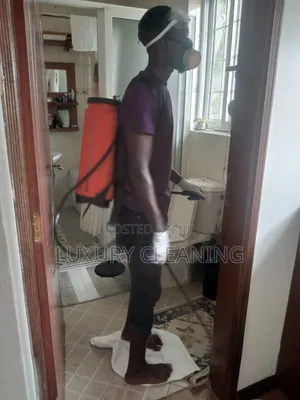 Bed Bags and Cockroaches Fumigation