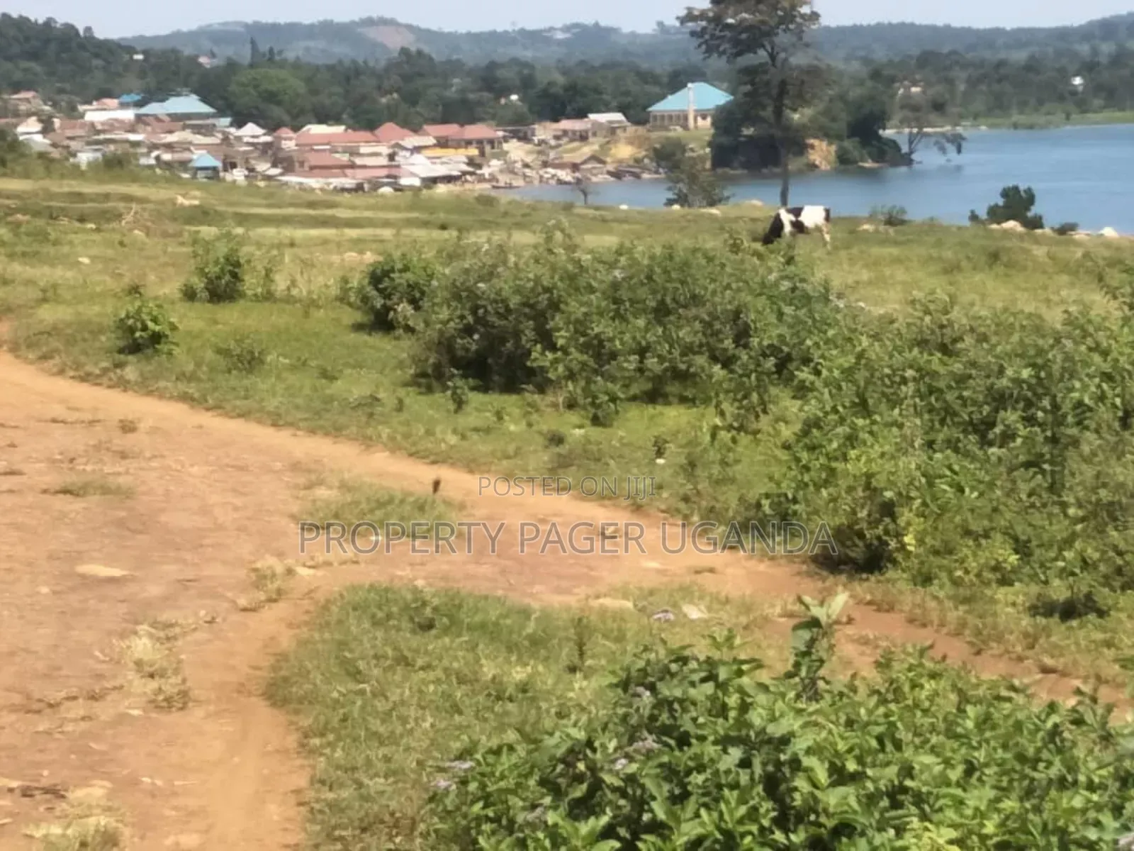 77 Decimals of Land on Urgent Sale at Katosi Landing Site.