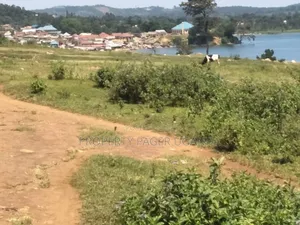 77 Decimals of Land on Urgent Sale at Katosi Landing Site.
