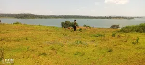 77 Decimals of Land on Urgent Sale at Katosi Landing Site.