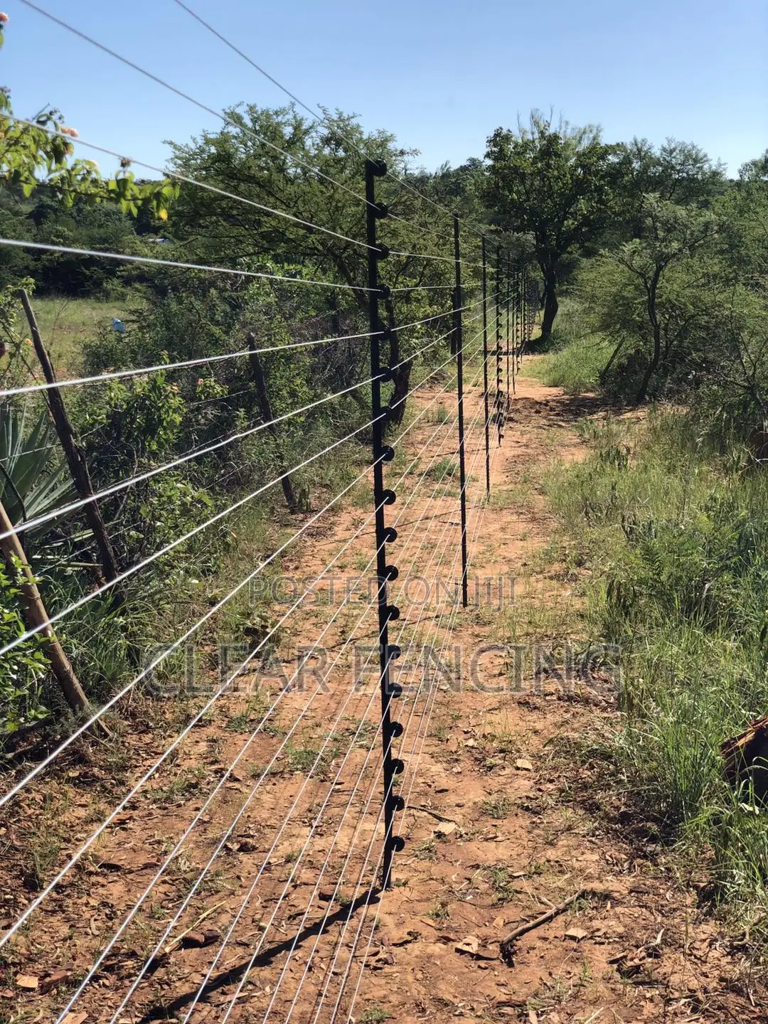 18 Strand Freestanding Electric Fencing