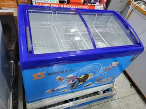 Sayonapps Commercial Ice Cream Display Freezer