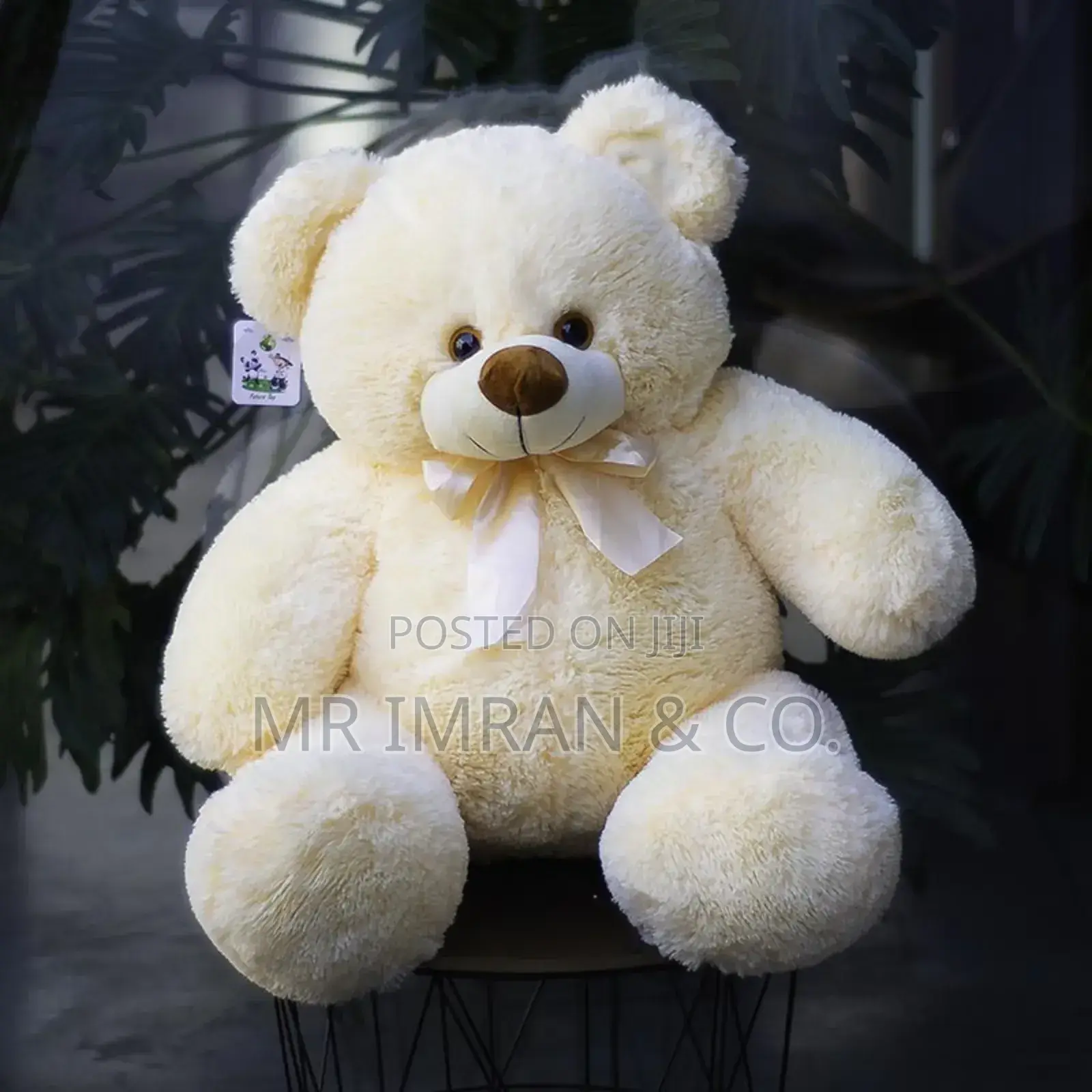 Large, Fluffy Teddy Bear