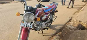 TVS HLX 125 2023 Red