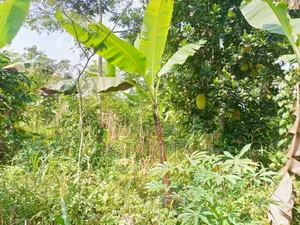 100 Acres for Sale Located at Kayunga Bale