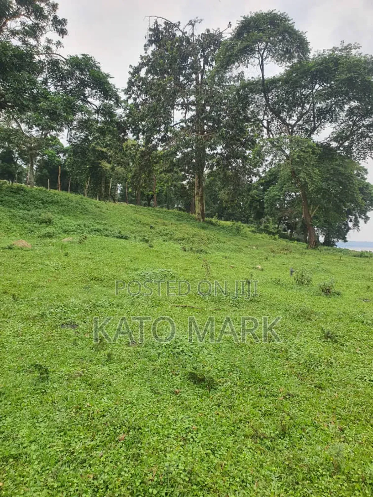 Lake View 5 Acres for Sale Located at Mukono Nkokonjeru