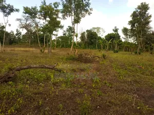 Lake View 5 Acres for Sale Located at Mukono Nkokonjeru