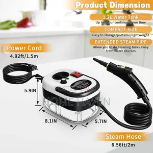 2500w Portable Steam Cleaner