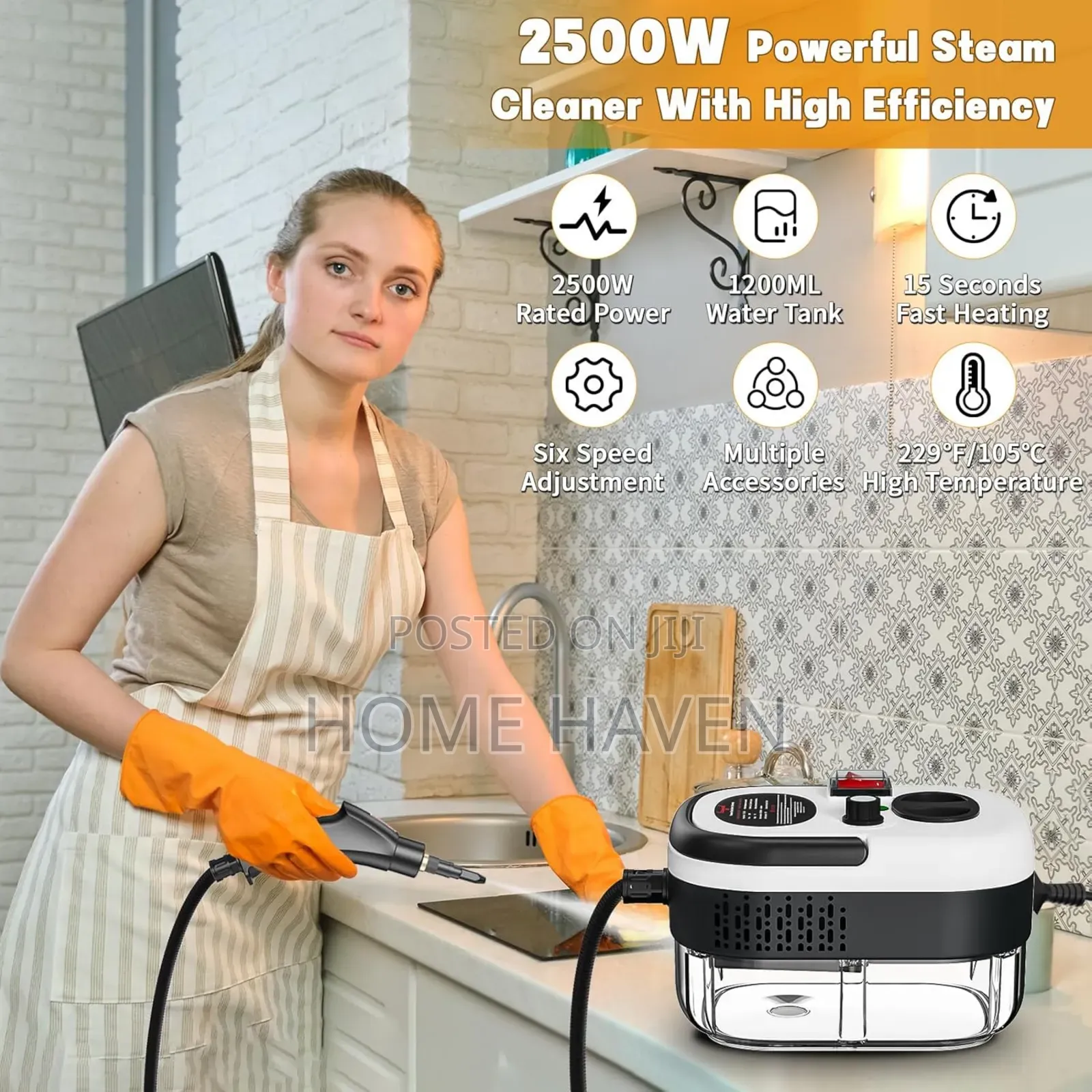 2500w Portable Steam Cleaner