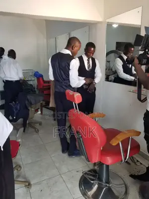 Professional Barber Chair