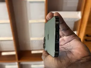 Apple iPhone 13 Pro Max 256 GB Green