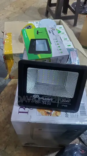 Dplight Portable Superblight Flood Light