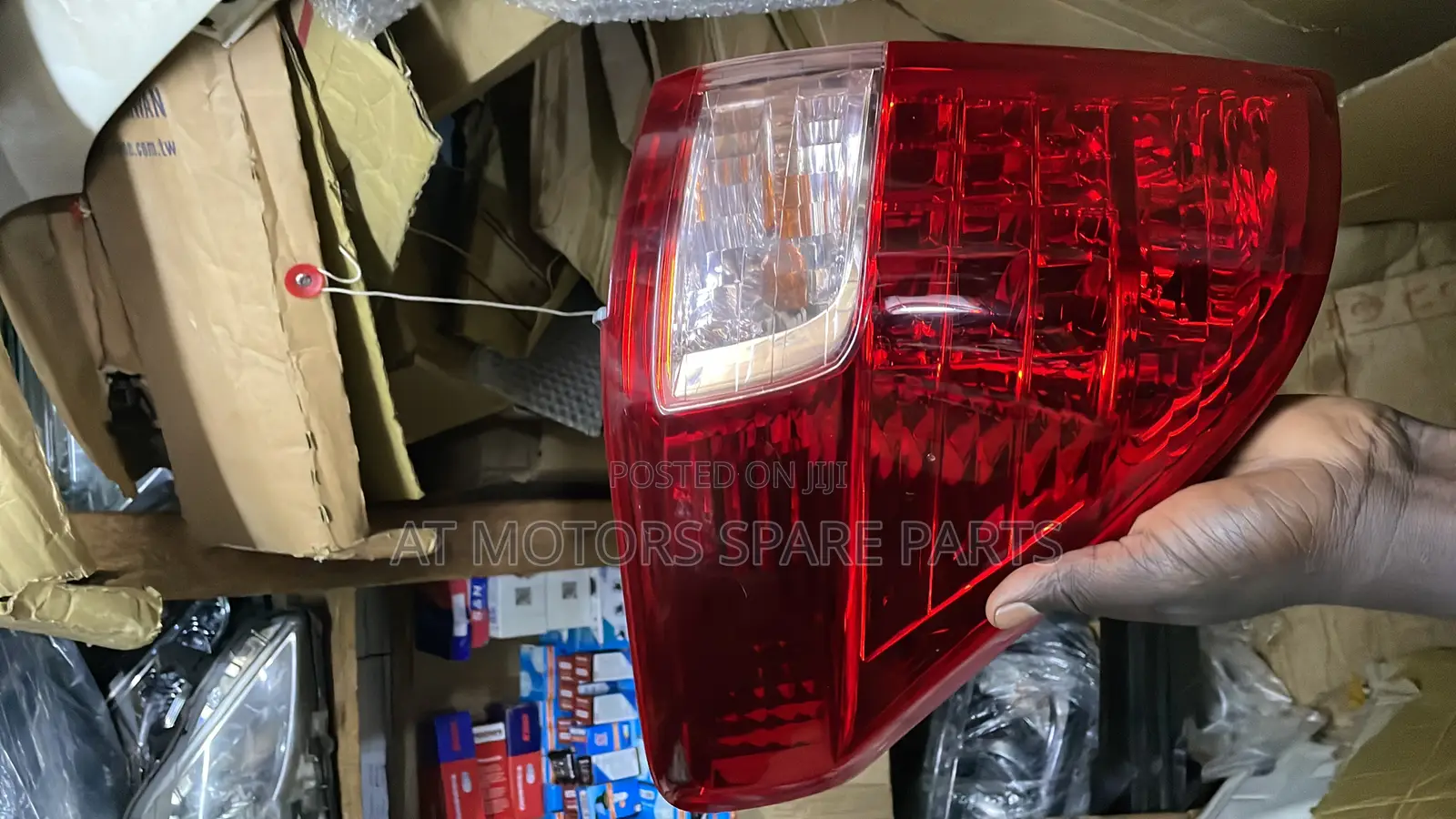 Alphard 2010 Back Light