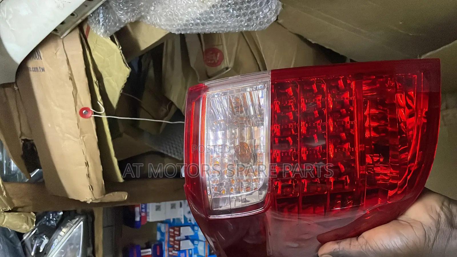 Alphard 2010 Back Light