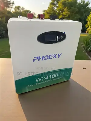 Advanced 25.6v 2.5kwh Lifepo4 Battery Pack