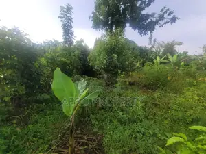 Land for Sale