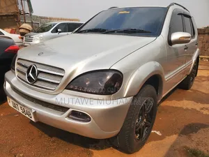 Mercedes-Benz M Class 2007 Silver