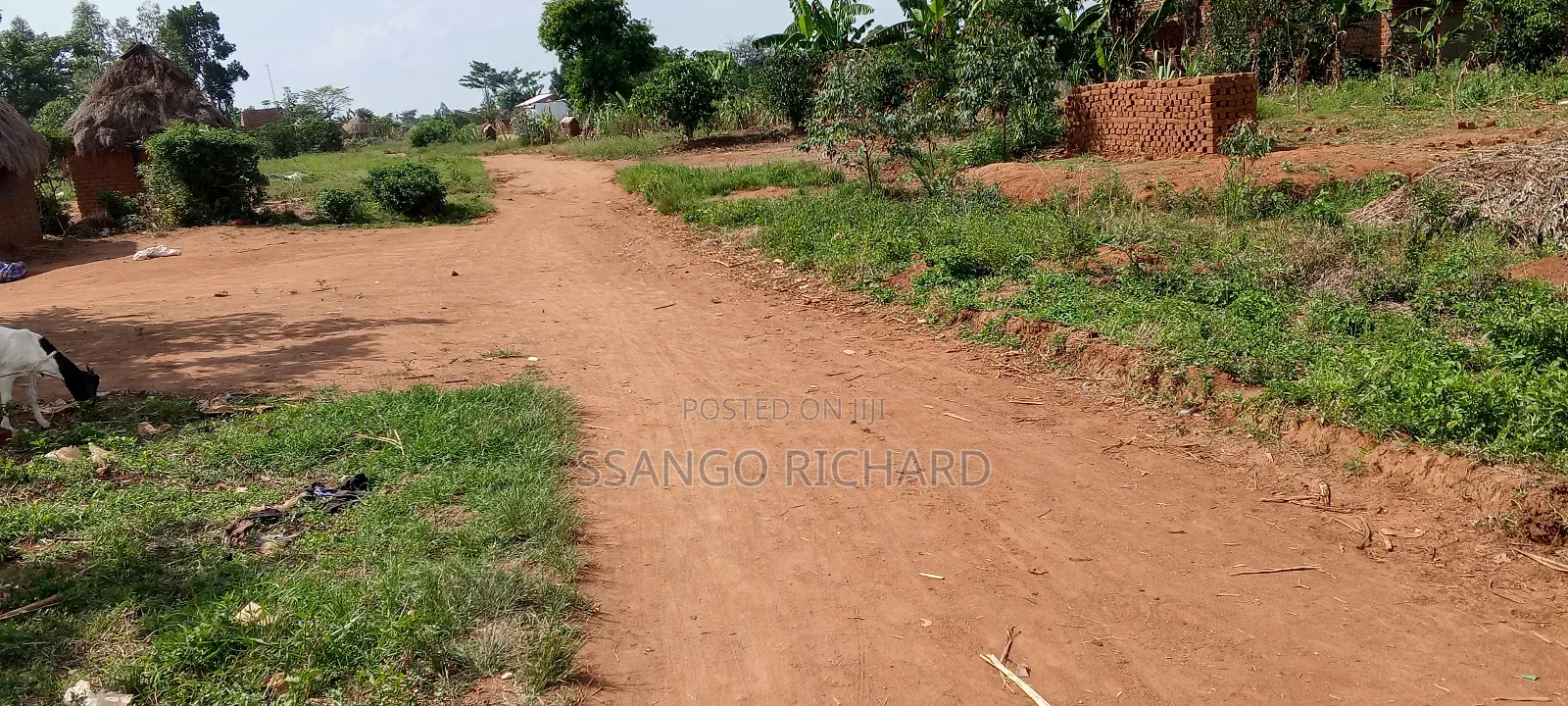 10 Titled Acres in Kikandwa Luwero